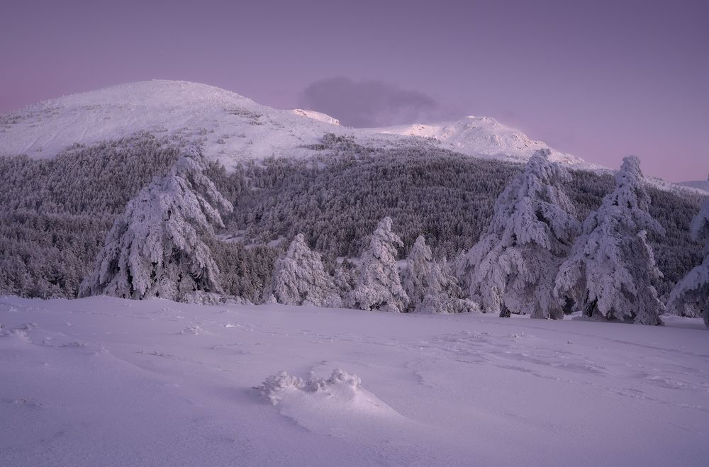 Photograph by Oscar Lata