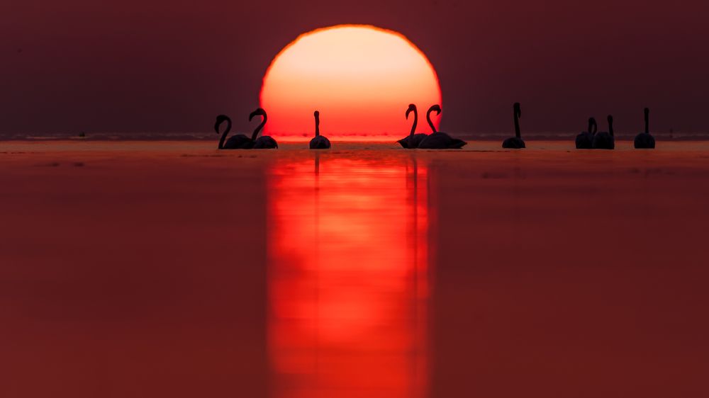 Photograph by Sunil Dhar