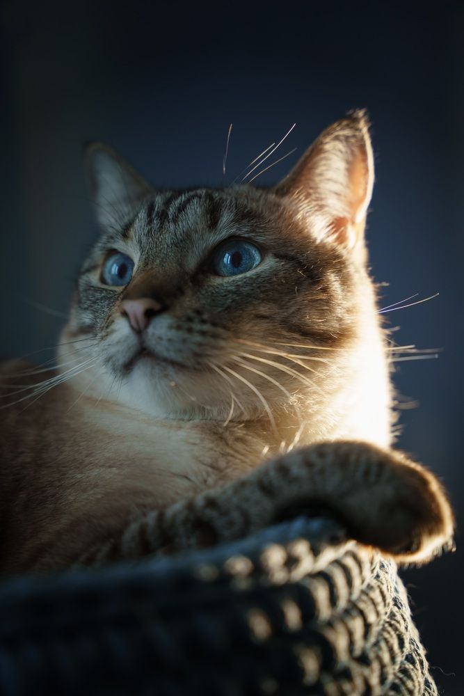 Photograph by Мария Акимова