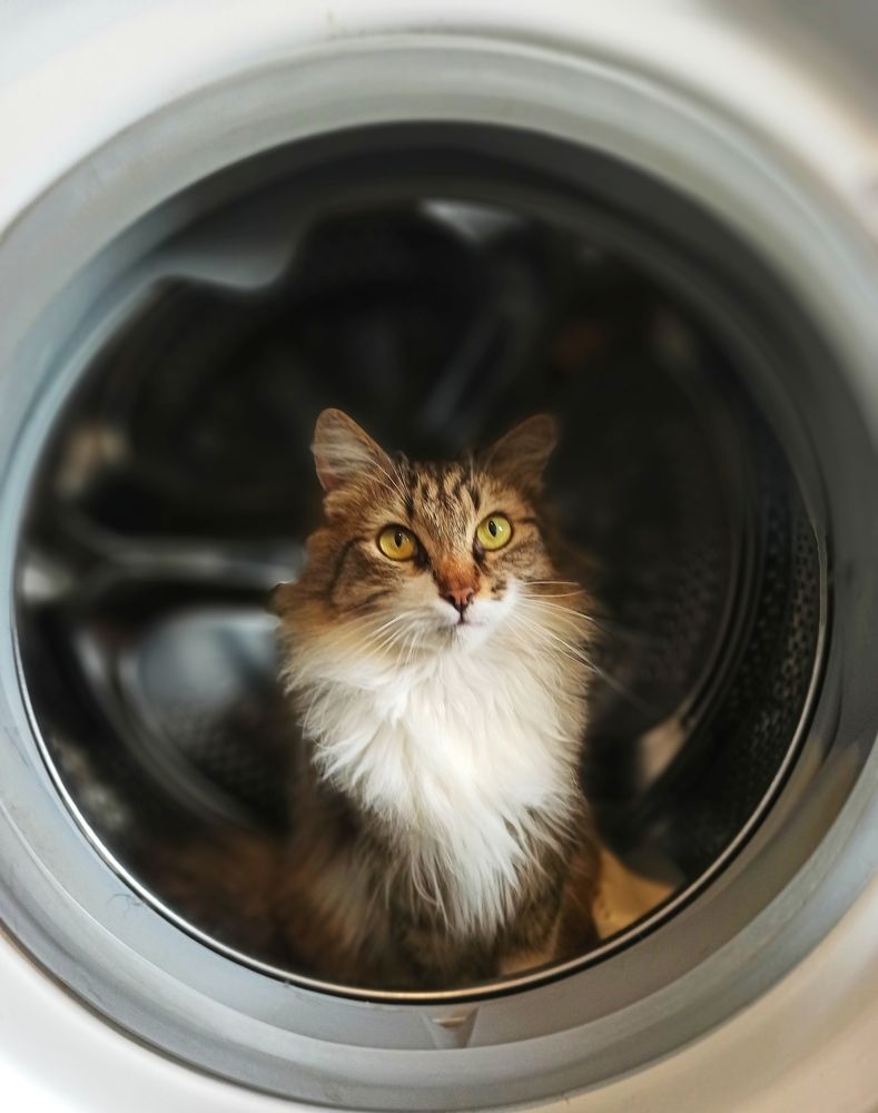 Photograph by Татьяна Долгушева