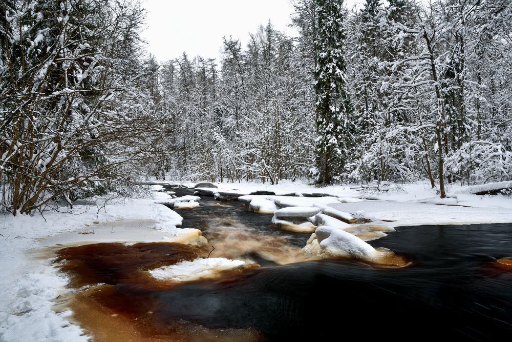 На берегу зимней реки