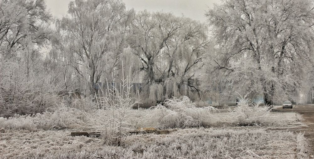 Photograph by Sergey Velichko