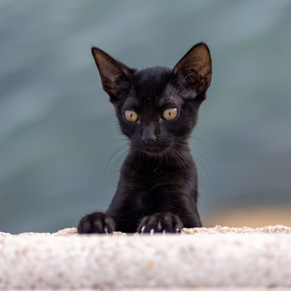 Photograph by Ingrida Pukaite