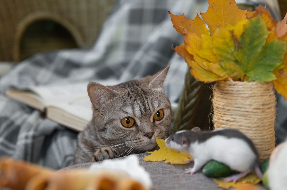 Photograph by Анастасия Мельник