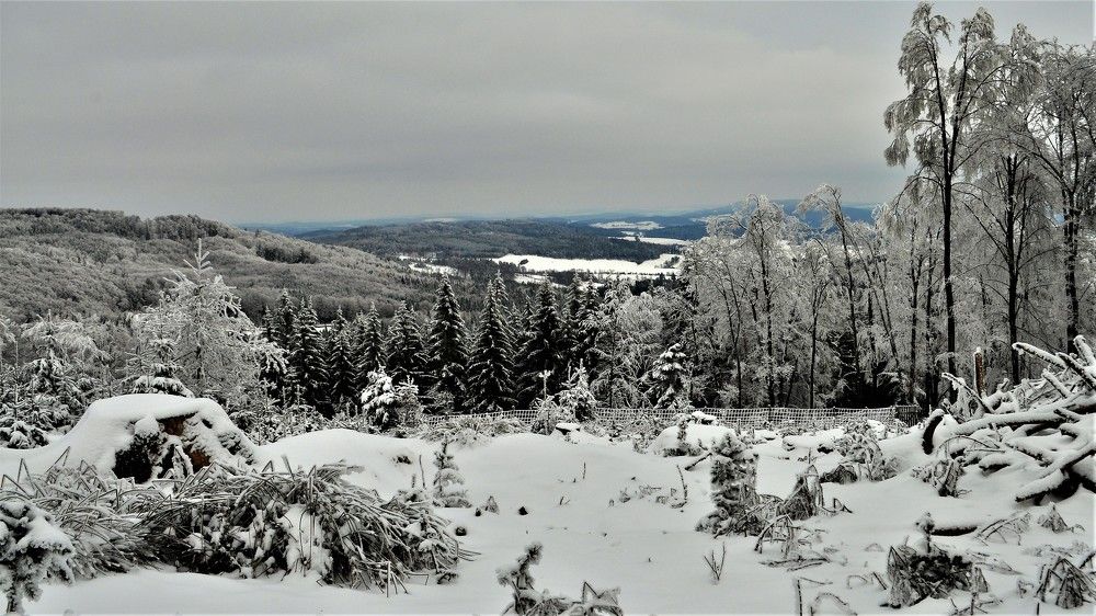 Photograph by Zdeňka Hudcová