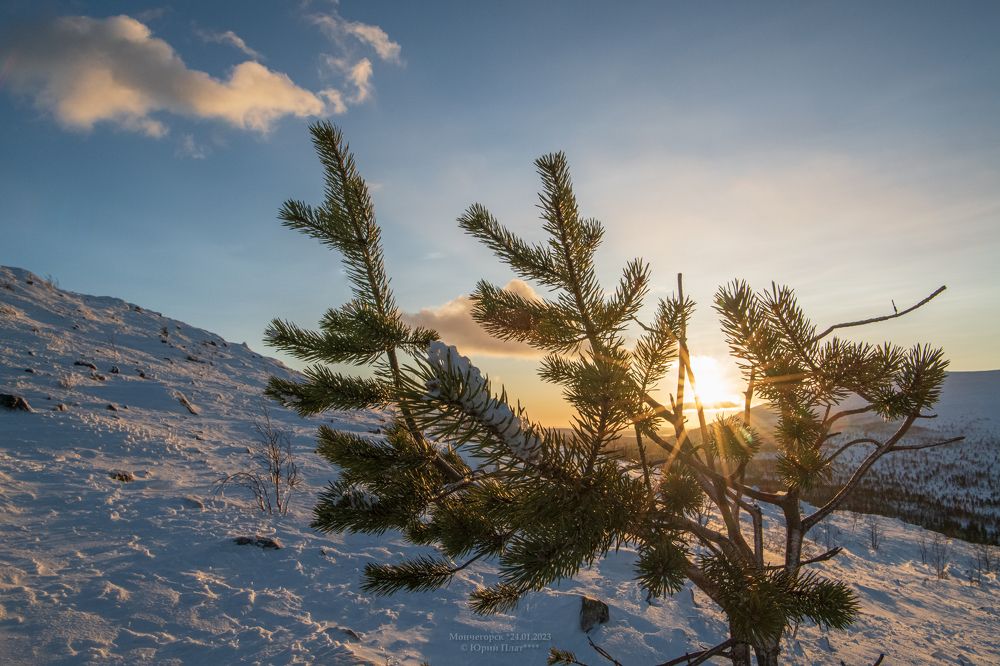 Photograph by Юрий Платухин