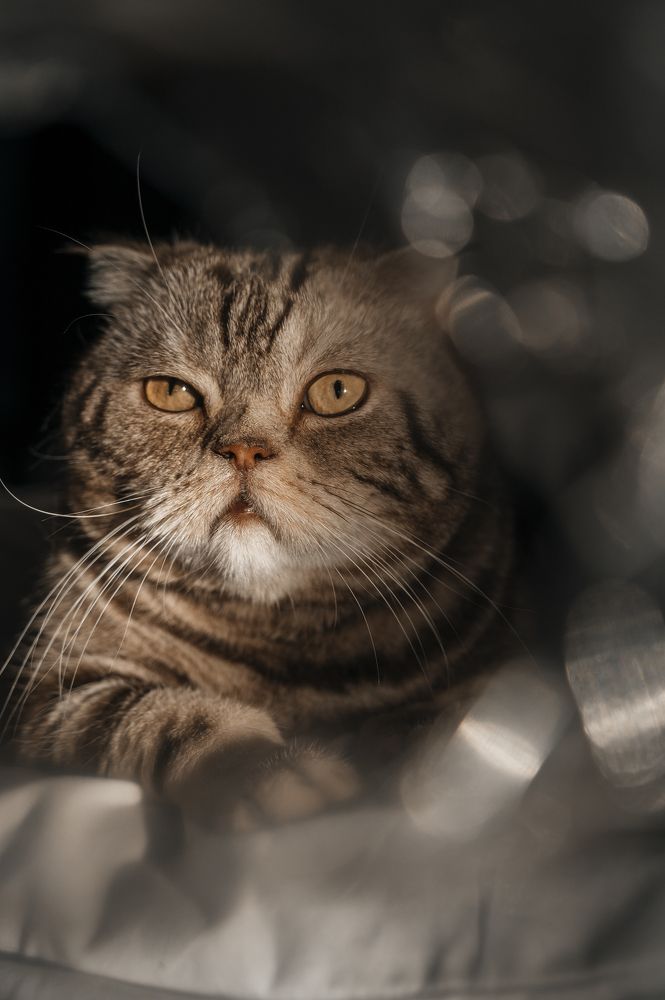 Photograph by Марьям Цимбельман