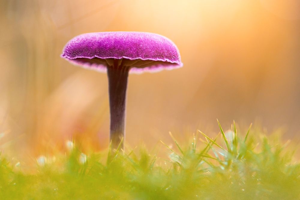 Photograph by Kveta Novotna