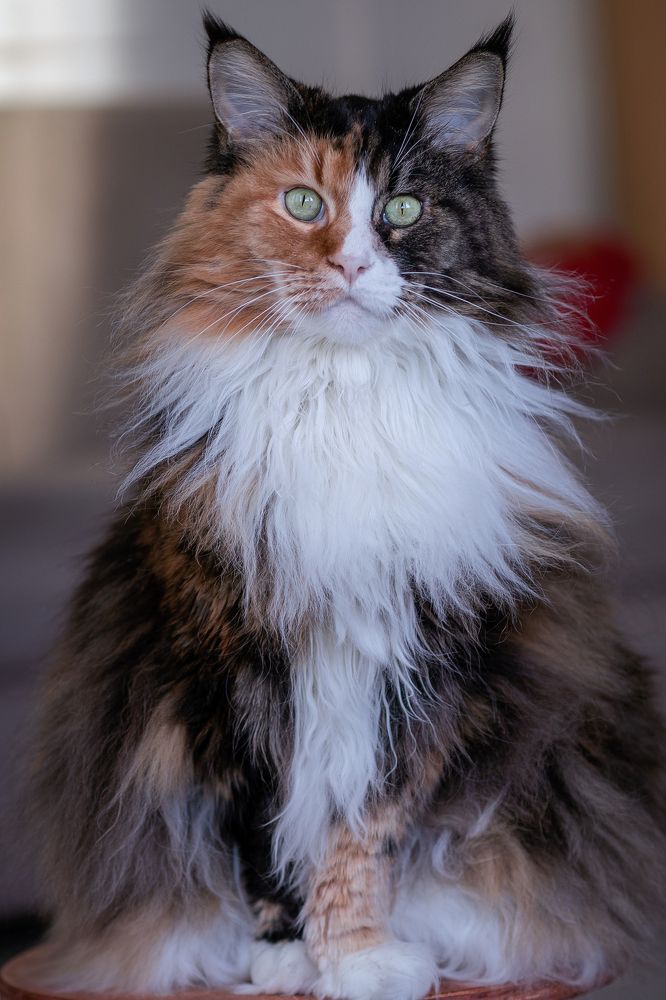 Photograph by Александр Клиновский