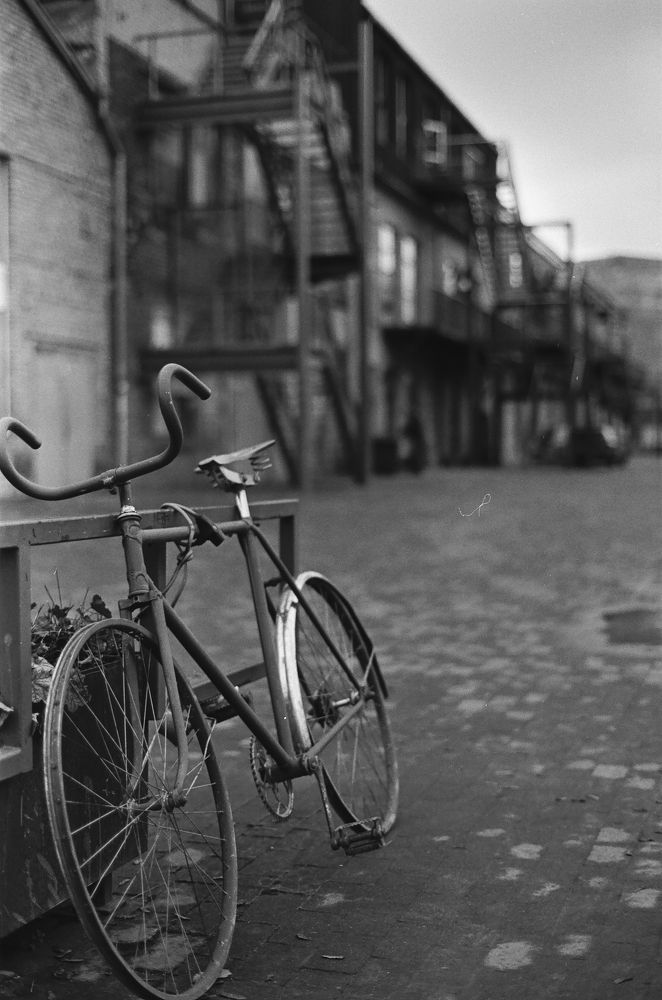 Photograph by Pavels Baikovs