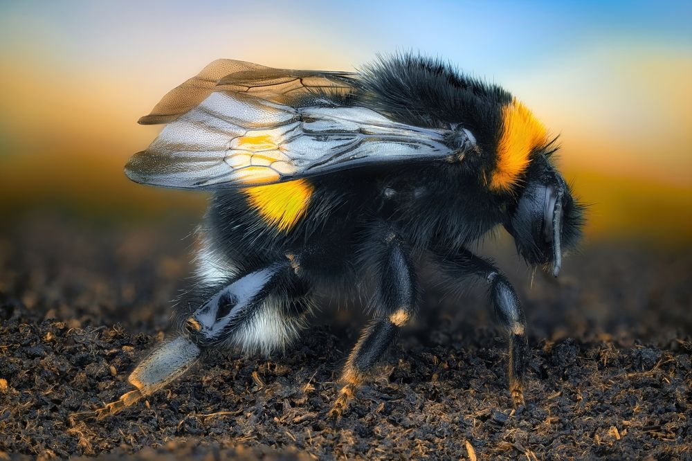 Photograph by Антон Орленко