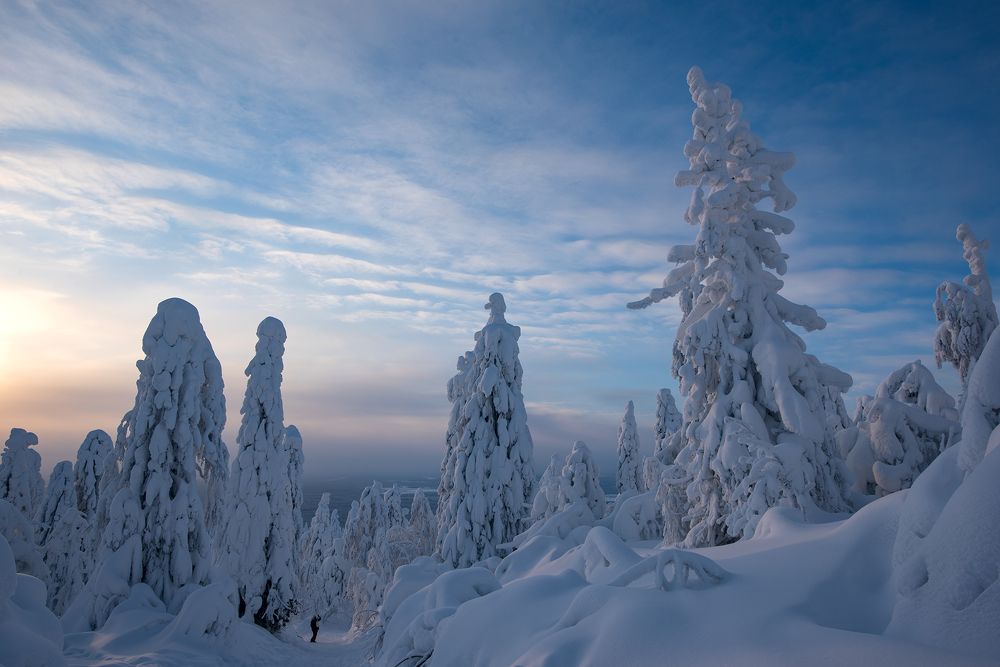 Photograph by Сергей Сынтин