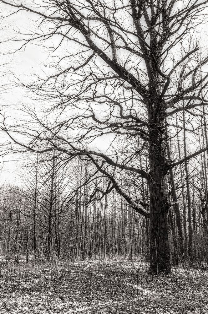 Photograph by Евгений Козлов