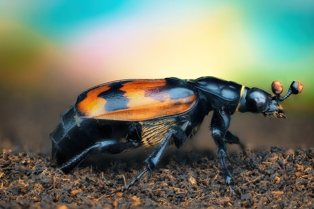 Photograph by Антон Орленко