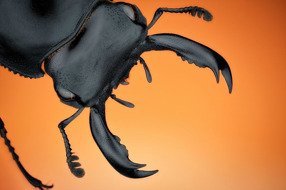 Photograph by Антон Орленко