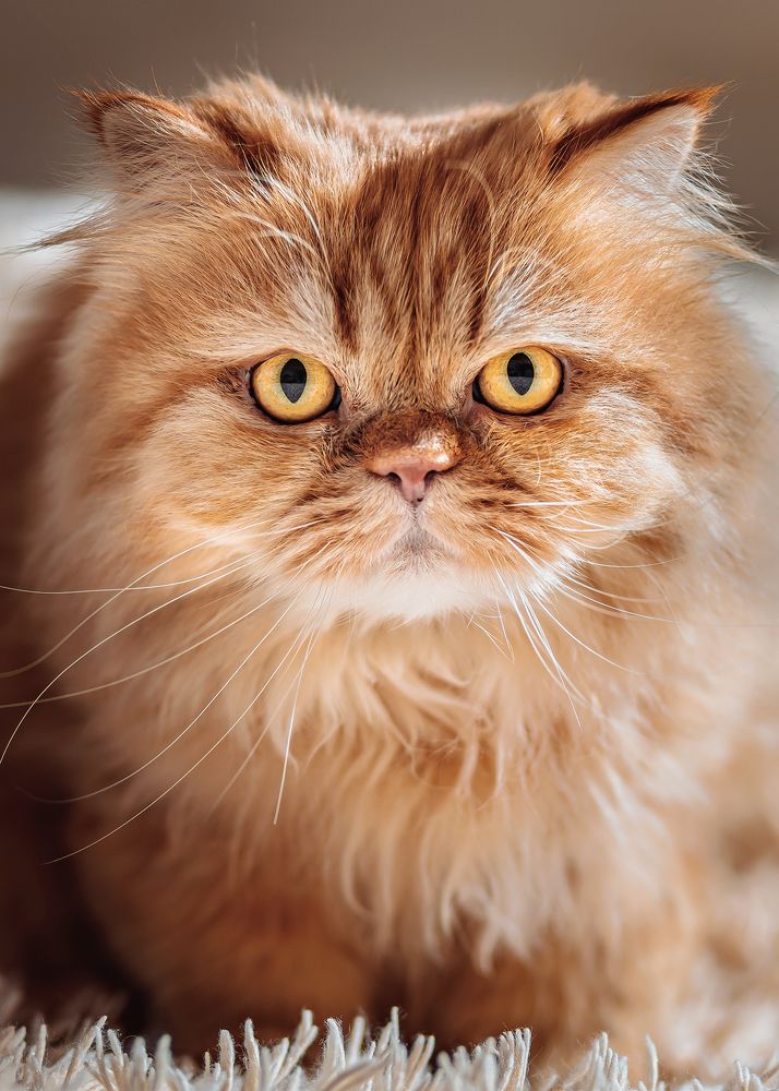 Photograph by Сергей Калинин