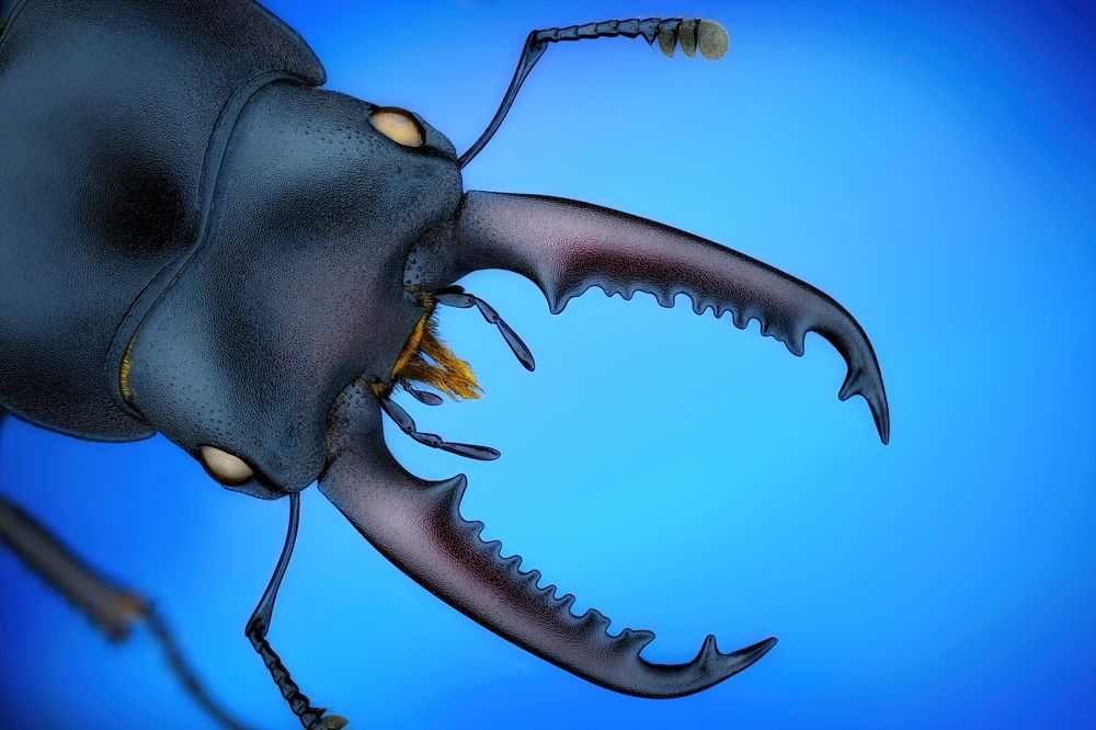 Photograph by Антон Орленко