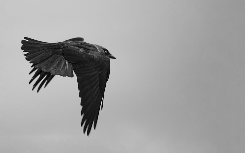 Photograph by Stamen Sotirov