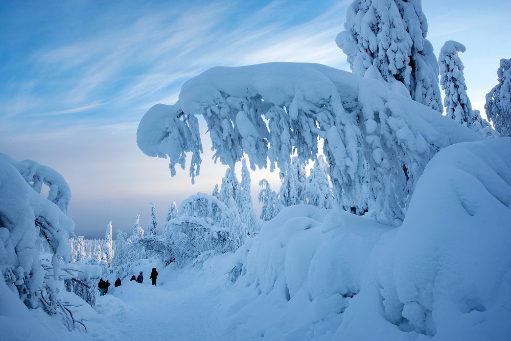 Фотография автора Сергей Сынтин