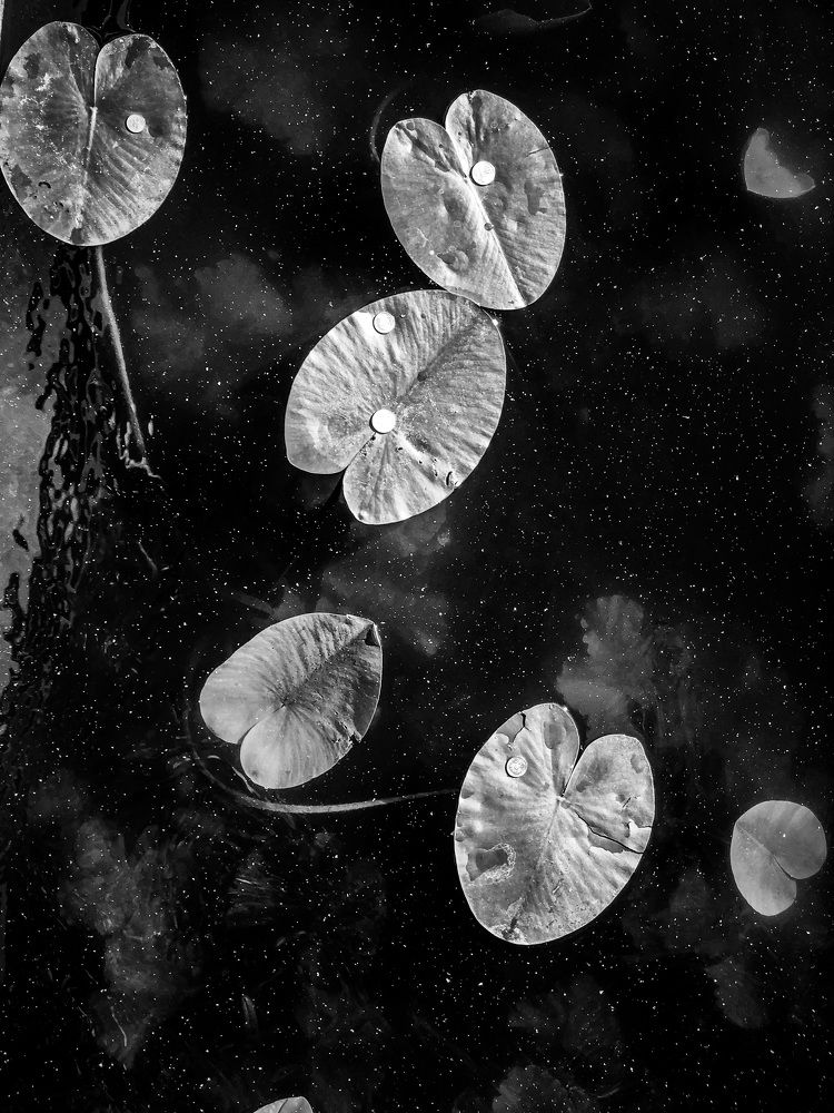 Photograph by Игнат Щеглов