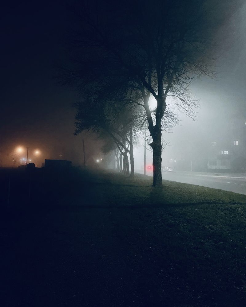 Photograph by Фатима Хуштова