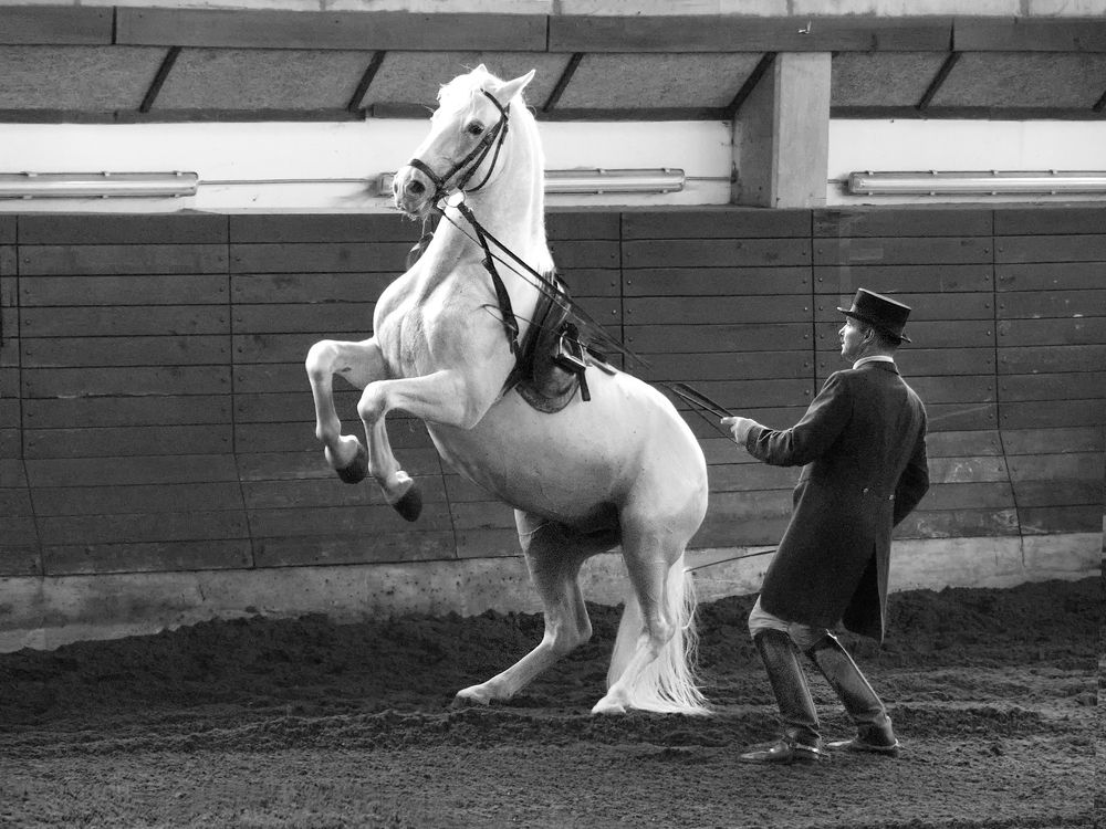 Photograph by Ionika Mink