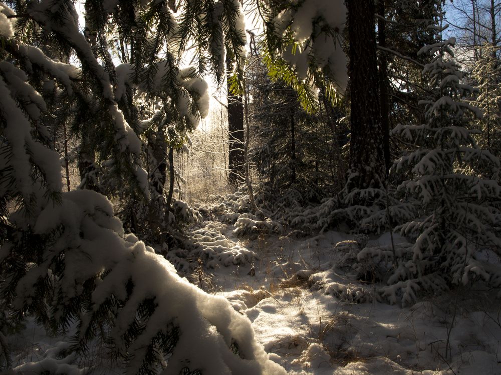 Photograph by Александр