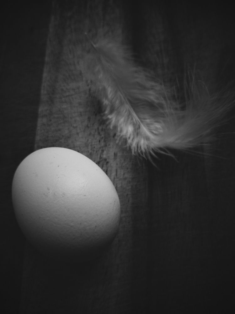 Photograph by Наталья