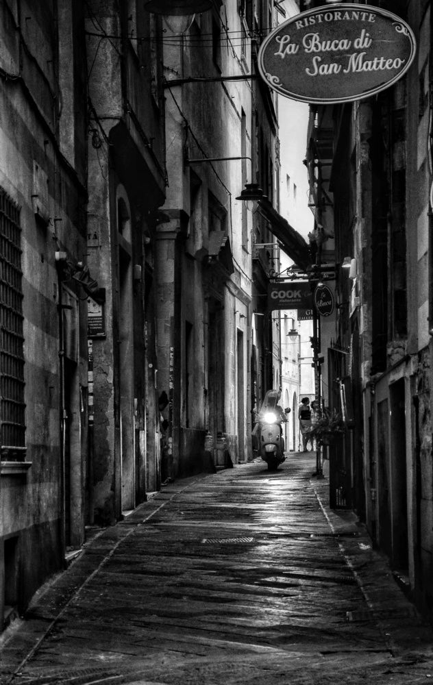 Photograph by Юлия Шмидт