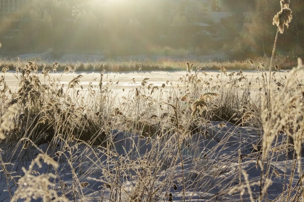 Photograph by Елизавета