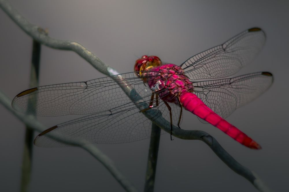 Photograph by Fillipe Ribas