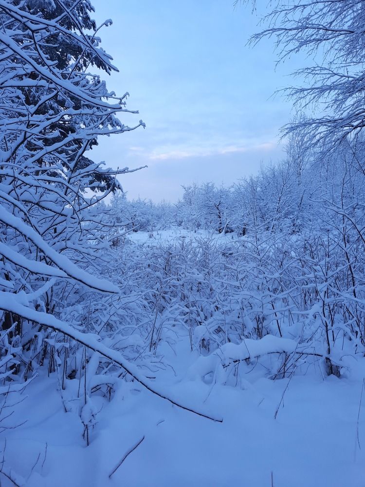 Photograph by Михаил Трусов