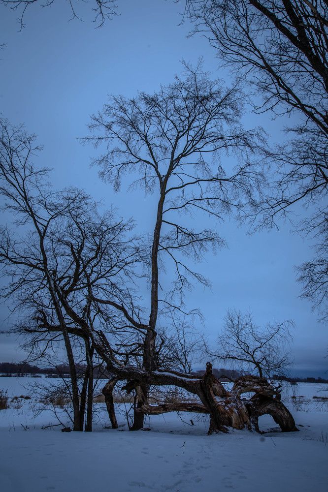 Photograph by Ольга Сафронова