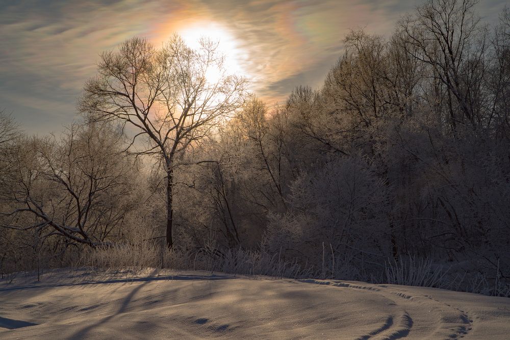 Январские морозы.