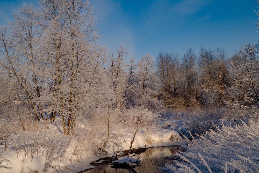 Photograph by Петр Жаринов