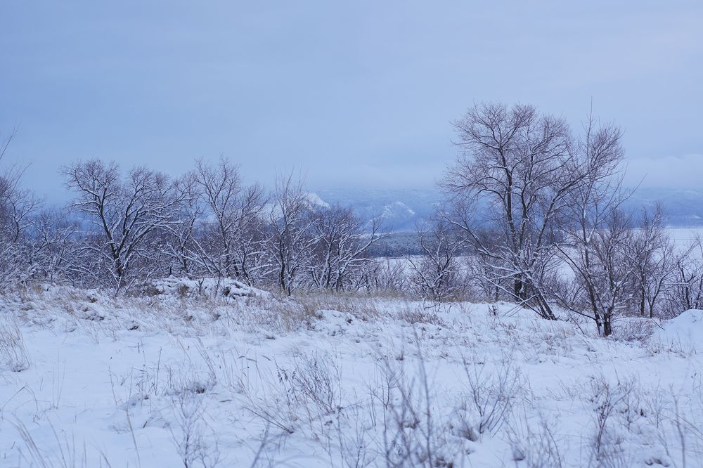 Photograph by Инесса Абрамова