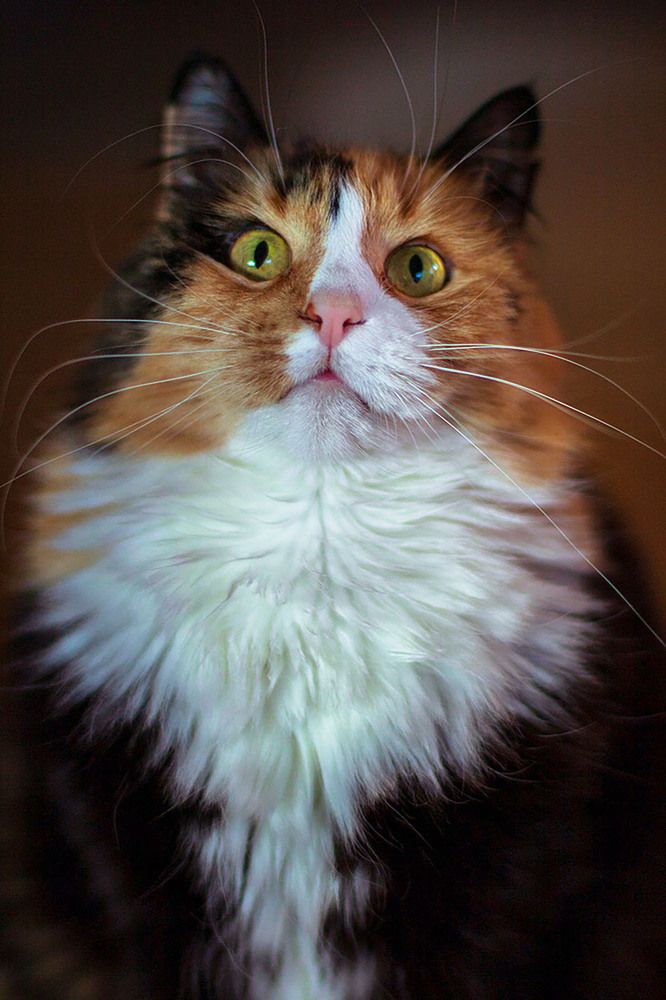 Photograph by Yulia Nikolaeva