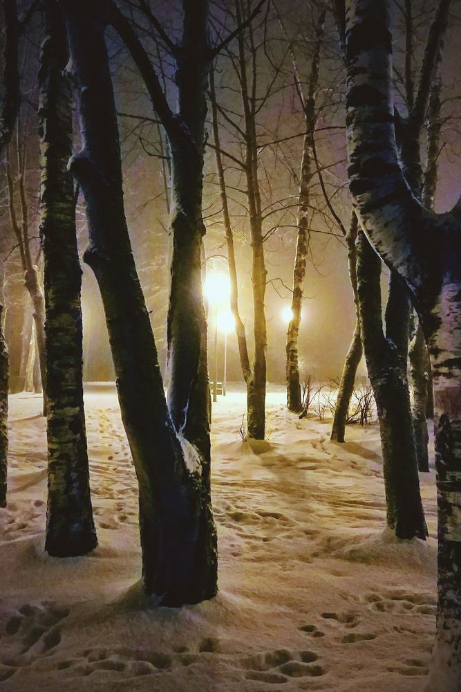 Photograph by Iuliia Akhulkova