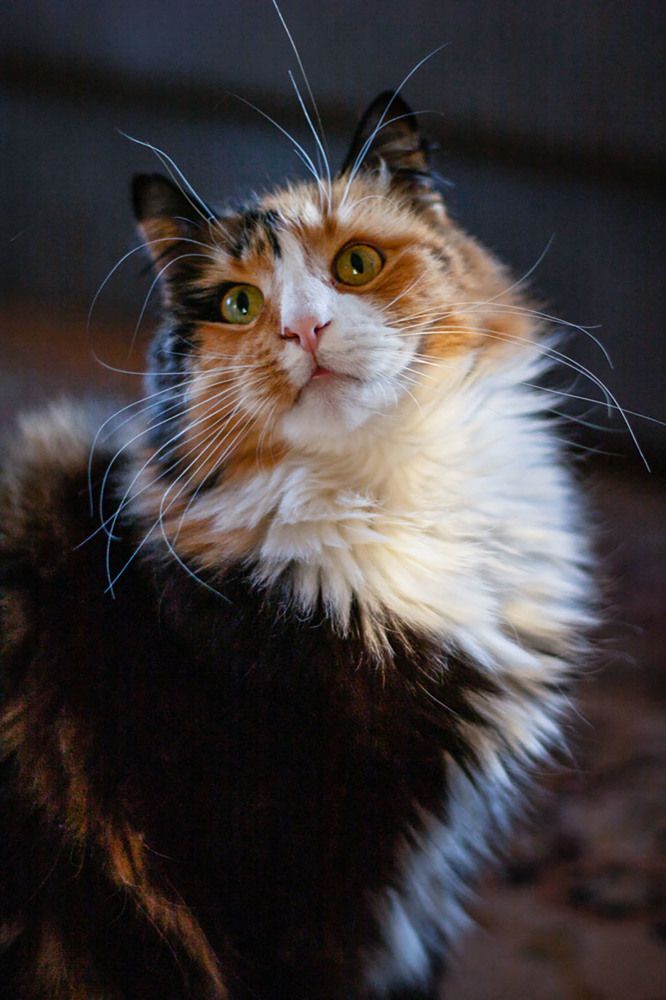 Photograph by Yulia Nikolaeva