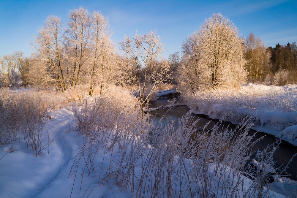 Photograph by Петр Жаринов