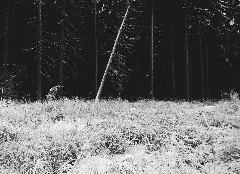 Photograph by Roman Байтлеулов