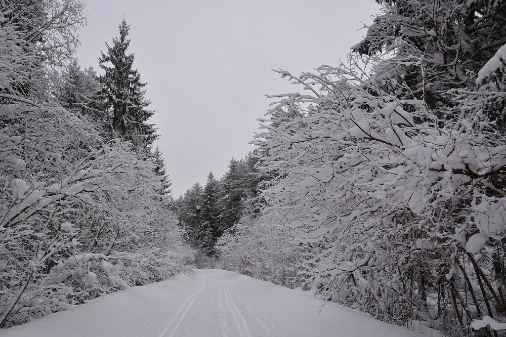 Photograph by Александр Калегин