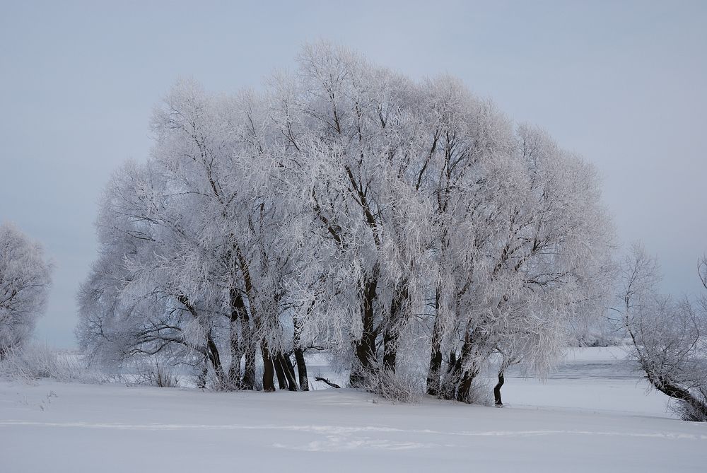 Photograph by Александр Калегин
