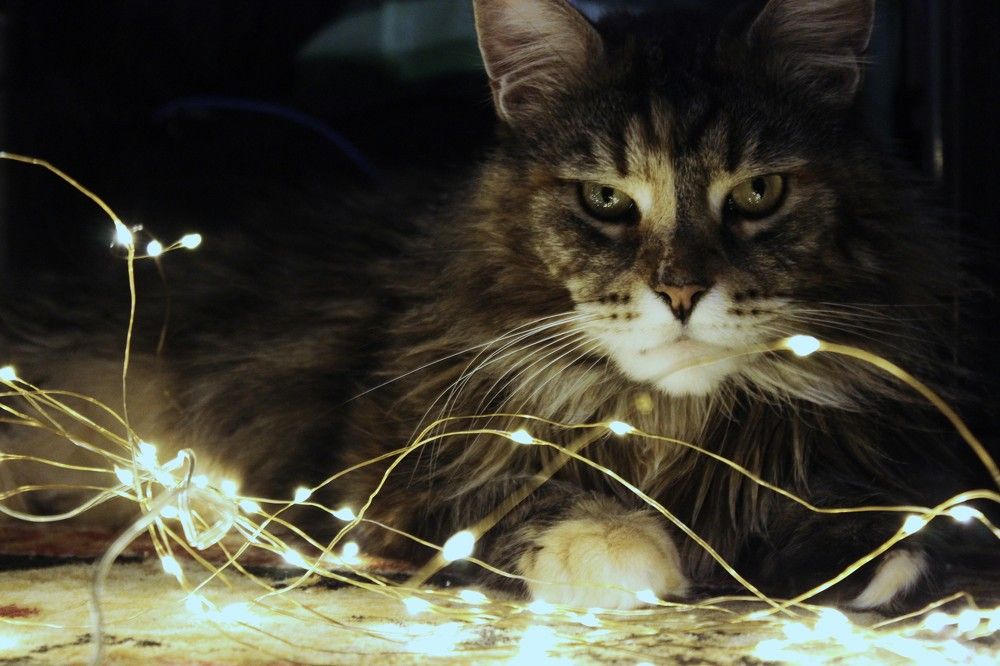 Photograph by ILONA OTRUTSKAYA