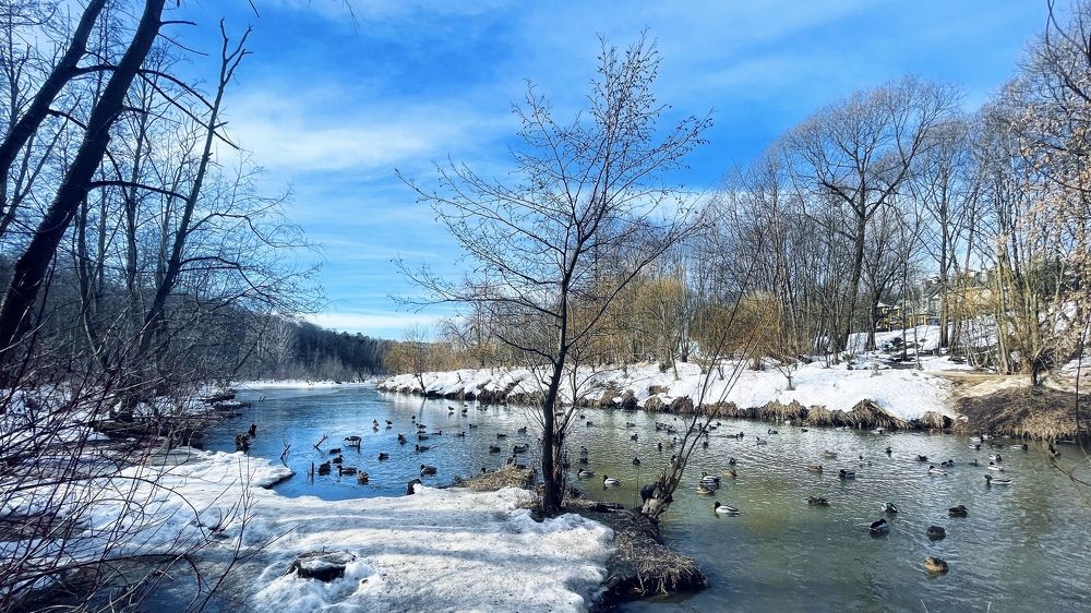 Photograph by Андрей Друцкой