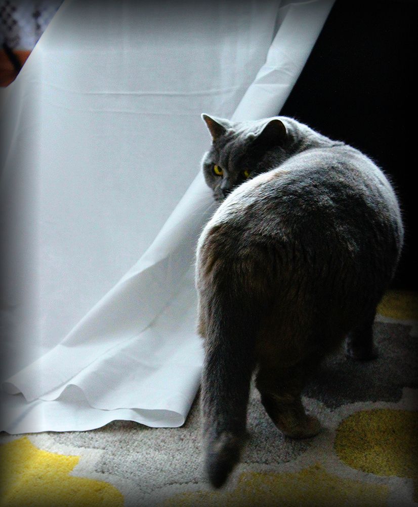 Photograph by ILONA OTRUTSKAYA