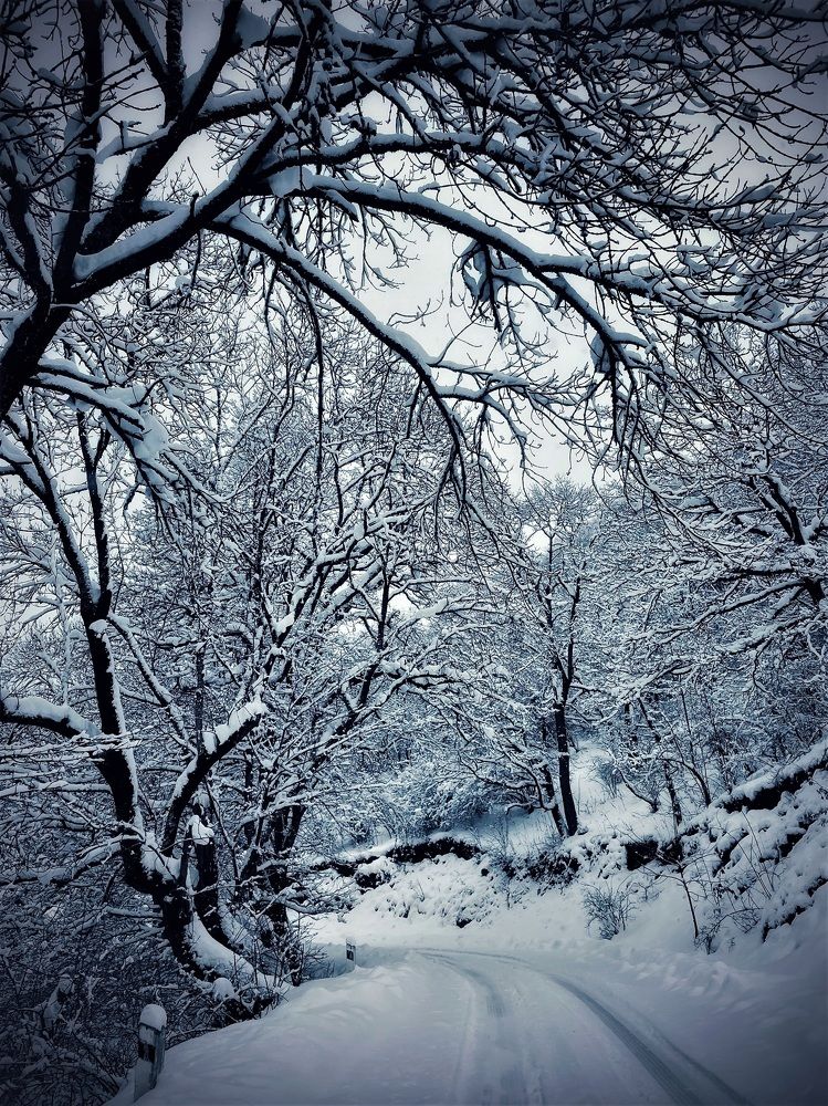 Photograph by Iuliia Akhulkova