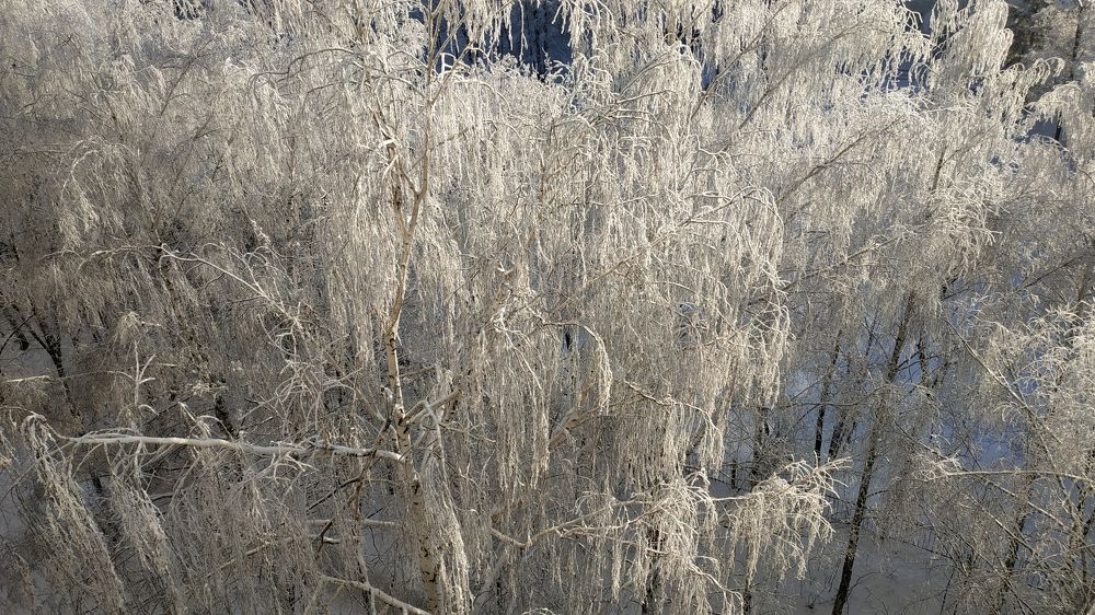 Photograph by вячеслав милов