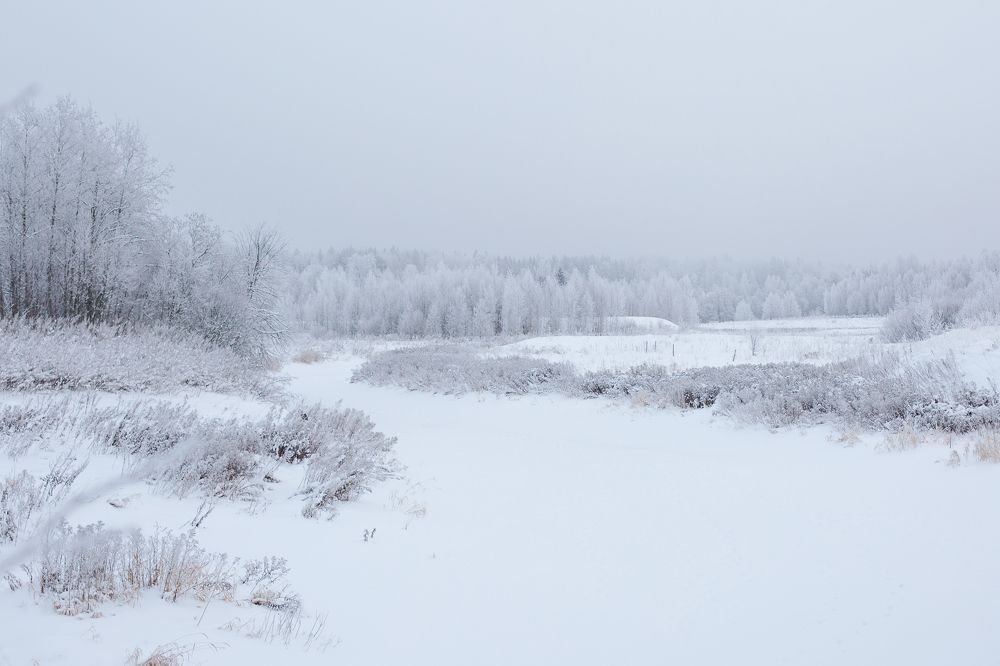 Photograph by Старикова Светлана