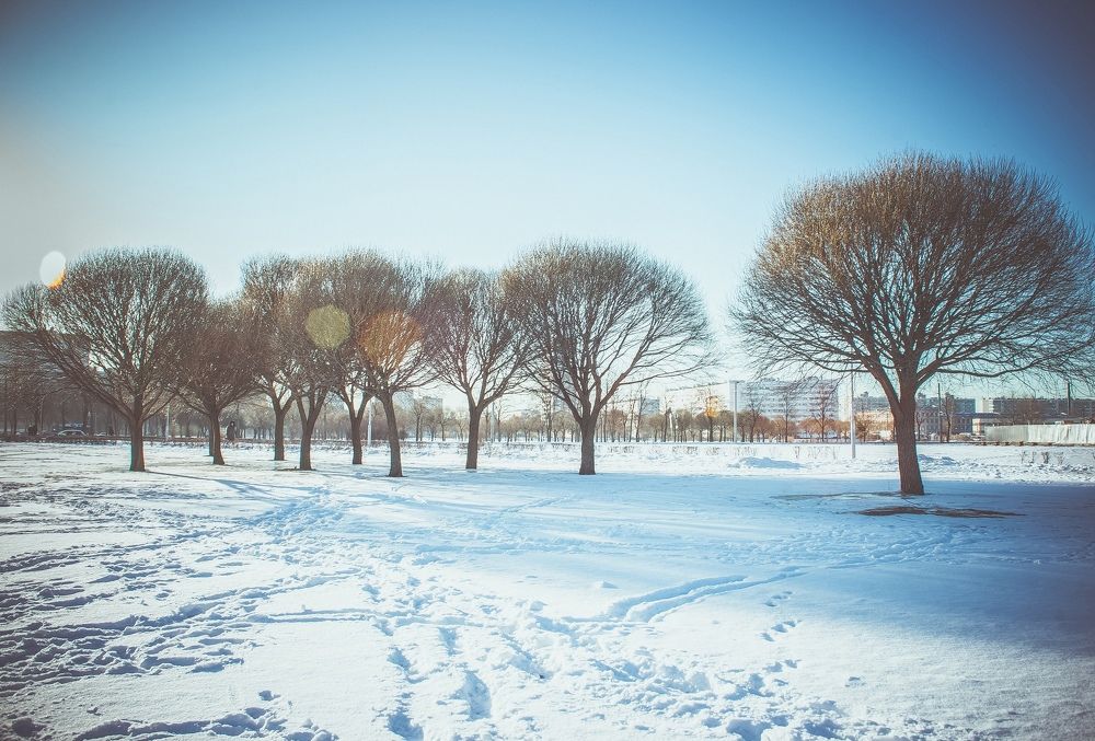 Photograph by Владимир Поздняков